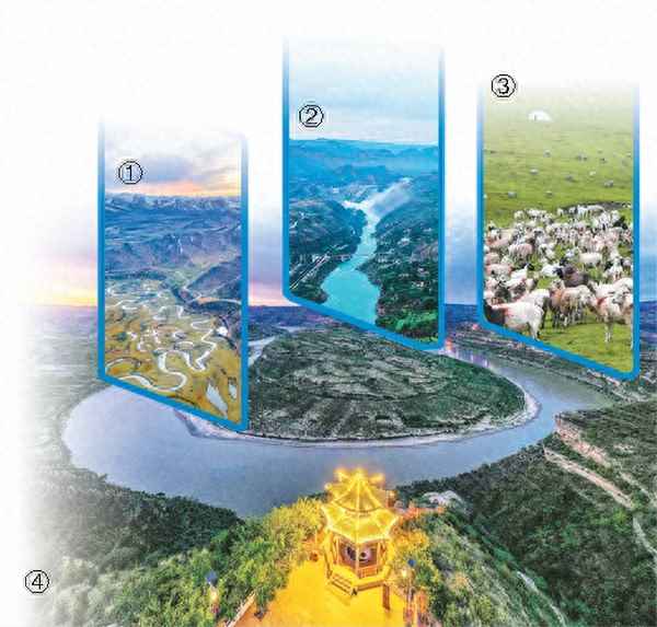 浪淘风簸自天涯打一动物-浪淘风簸自天涯是什么动物