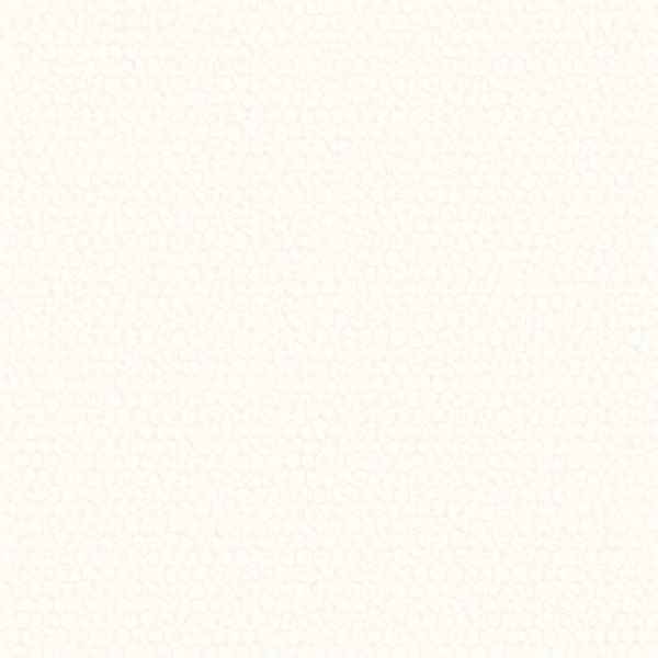 题三十小象 吴庆坻(《题三十小象》吴庆坻)