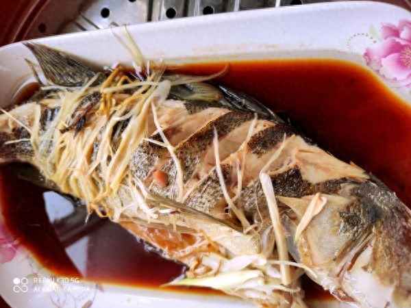 清蒸海鱸魚的做法竅門,清蒸海鱸魚正宗做法