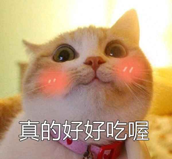 蒸四喜丸子放什么調(diào)料_蒸四喜丸子放什么調(diào)料好吃