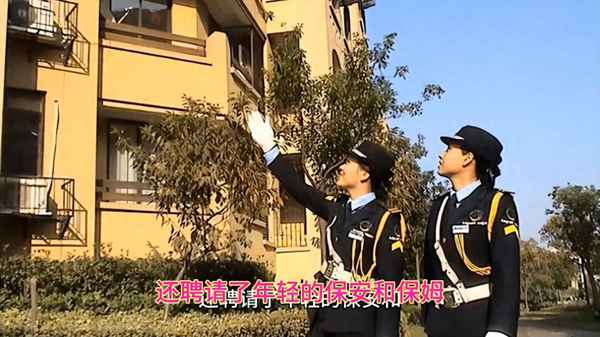 保安與保姆電視劇、保安與保姆電視劇情簡介
