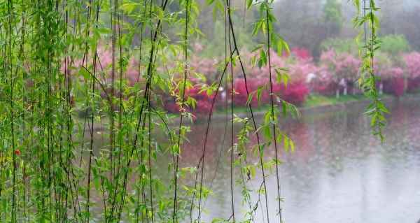 《送元二使安西》(唐)王维—送元二使安西唐王维的诗拼音版