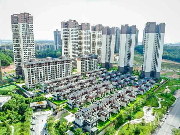 白坭教育網—三水白坭小學積分入學2020