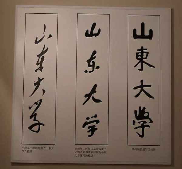 财经杜老师—第一财经杜坚