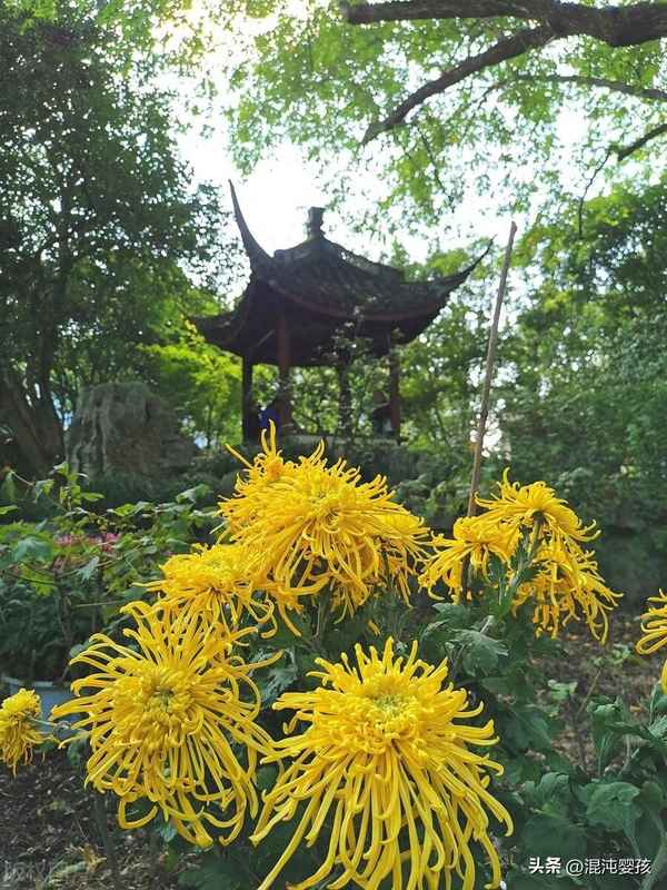 孟浩然的代表作品_孟浩然的代表作品是什么诗