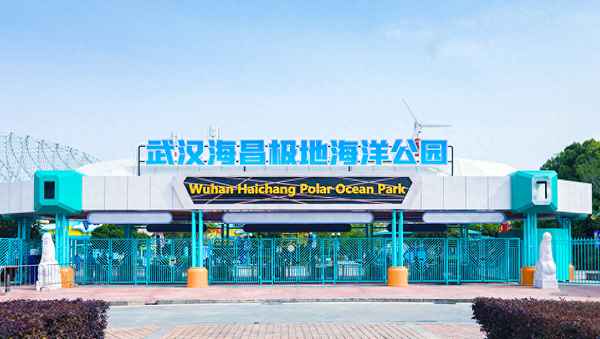 武漢極地海洋世界攻略(武漢極地海洋世界攻略表演時間)