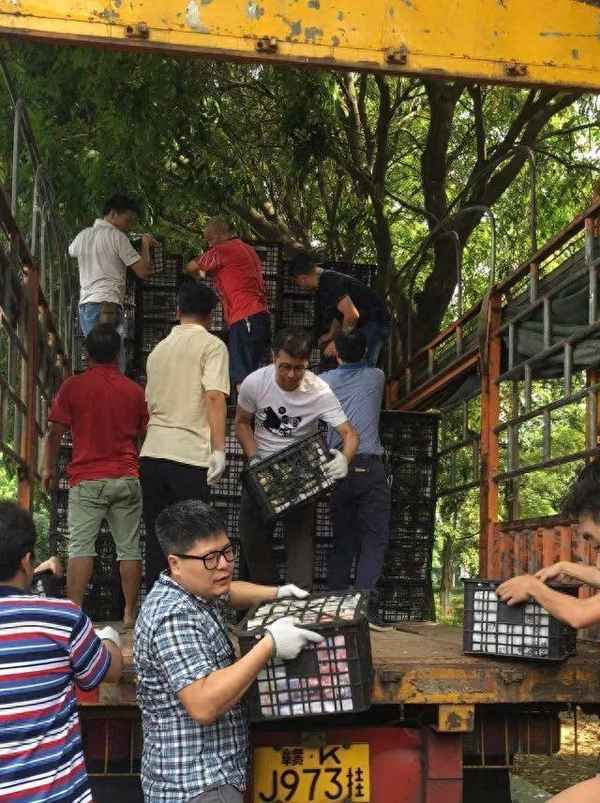 江门有没有钟点房、江门有没有钟点房的地方