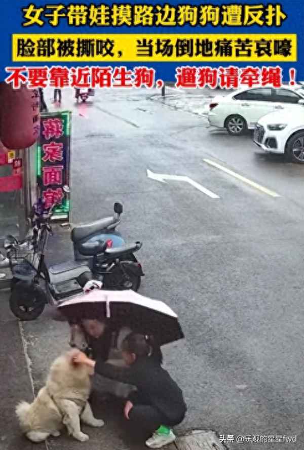 狗咬人赔偿价格表_狗咬人了打110有用吗