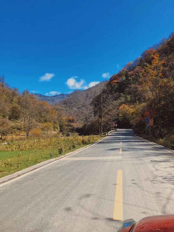 喇叭河附近有哪些景點-喇叭河旅游