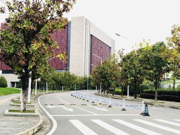 央视主持人董卿的yn生活(赵忠祥看董卿下半部是真的吗)