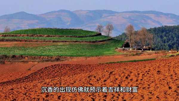 沉香文化,沉香文化文案