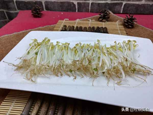 家庭綠豆芽生發步驟,綠豆芽怎么發豆芽的步驟日記