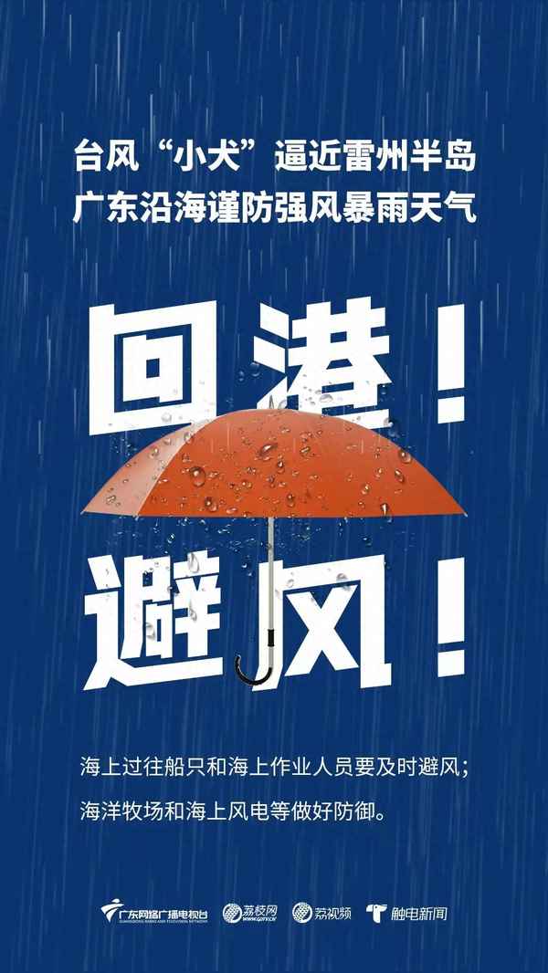 臺風分類及防御措施,臺風分幾種