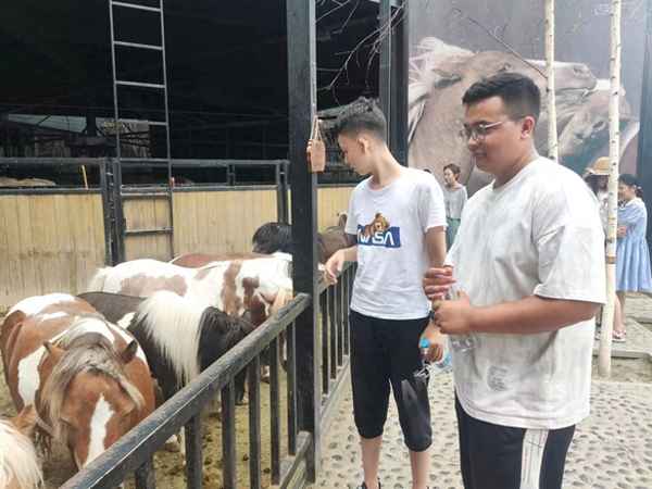 烏魯木齊寶馬4s店地址和電話—烏魯木齊最好的寶馬維修點
