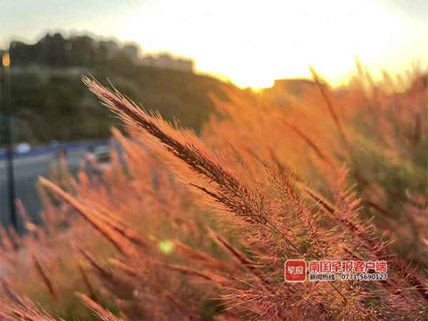 南宁市北湖公园在哪里_南宁北湖有什么地方好玩的