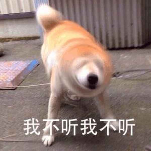 淺草寺求什么最靈驗—淺草寺御守靈驗嗎