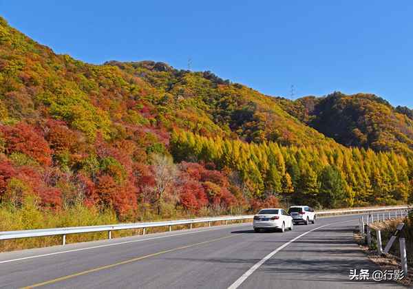 本溪自駕免費(fèi)景點(diǎn)排名—本溪適合帶孩子一日游的地方