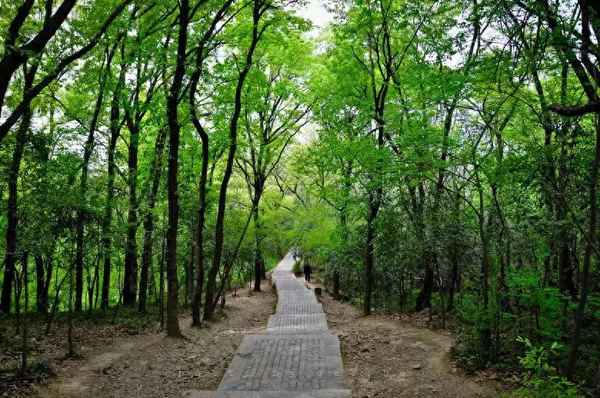 靈谷寺晚上能進去嗎,靈谷寺開到幾點