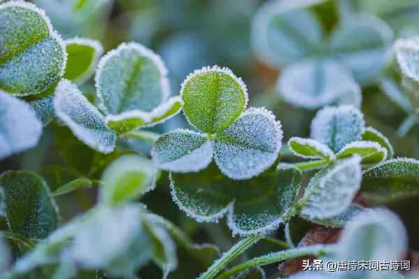 月落乌啼霜满天的下一句、月落乌啼霜满天的下一句是什么意思是什么