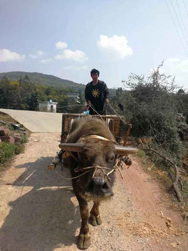 计划经济时代即将到来;计划经济时代什么最赚钱
