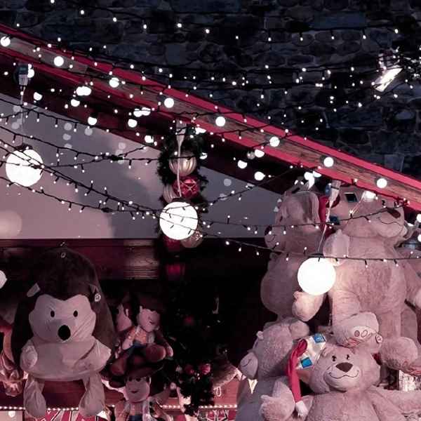 画堂春暖全文免费_画堂春暖全文免费阅读小说