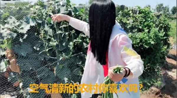 干煸豆角要焯水嗎,干煸豆角的正確方法