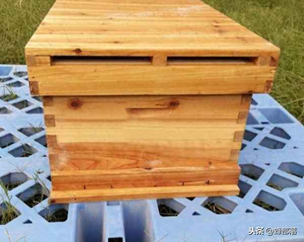 网上买的蜂群怎么过箱、网上买的笼蜂蜜蜂怎么过箱
