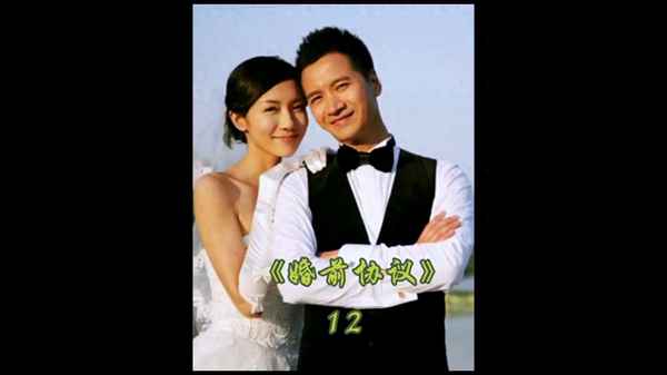 婚前協議電視劇—婚前協議電視劇結局