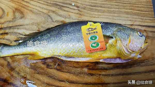 黃花魚怎么煎才好吃、黃花魚怎么煎才好吃視頻