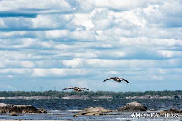 乘风起扶摇九万里(一朝乘风起扶摇九万里)