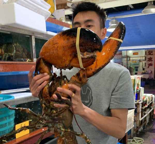 世界上最大的鮑魚(世界上最大的鮑魚是什么品種)