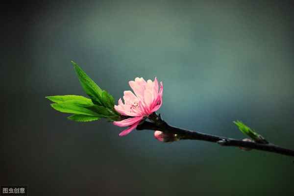 乌衣巷的历史背景;乌衣巷的历史背景简介