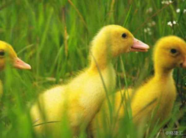 002321东方财富股吧(002336东方财富网股吧)