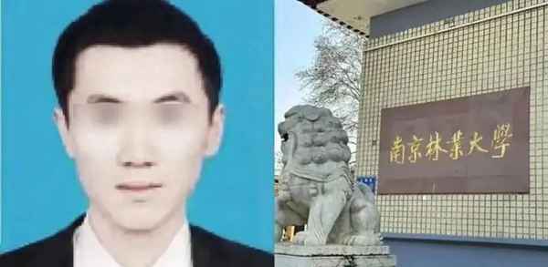 林大房产、林大林业科技股份有限公司