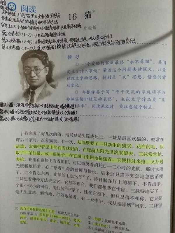 初一語文課文人教版-初一語文課文在線聽免費人教版