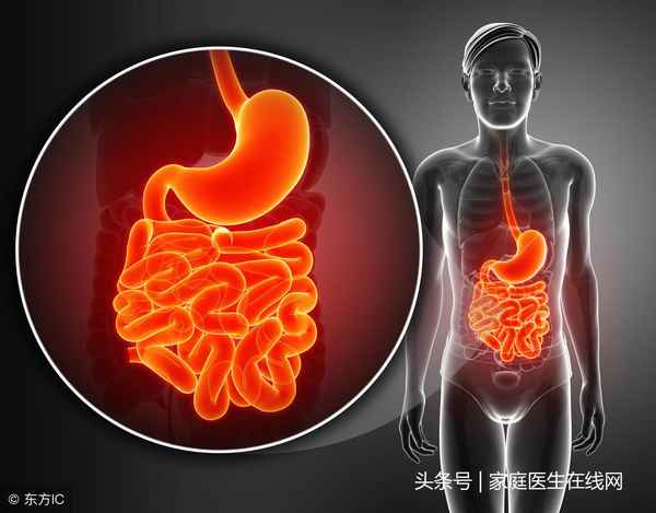 腸胃健康,腸胃健康小知識