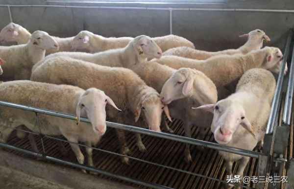 冬季做什么生意挣钱,冬季做什么生意挣钱最快