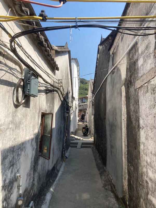 西丽租房单间多少钱、西丽租房二室一厅