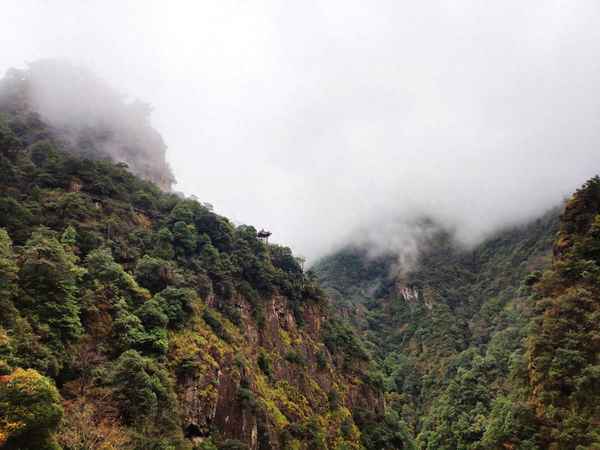 武義牛頭山風景區圖片_武義牛頭山風景區圖片大全