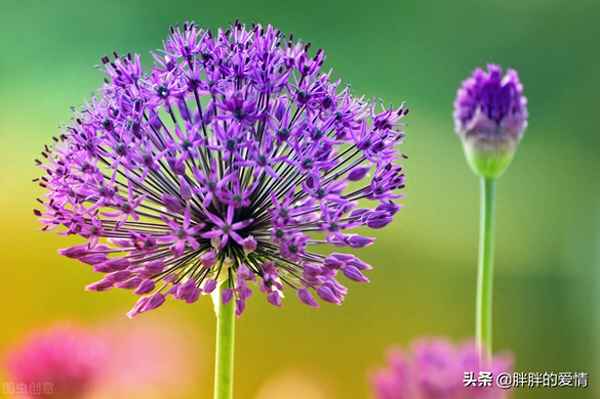 莫论人非的前一句是什么-莫论人非的前一句是什么呢