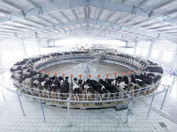 南京卫岗乳业有限公司介绍-南京卫岗乳业有限公司介绍图片