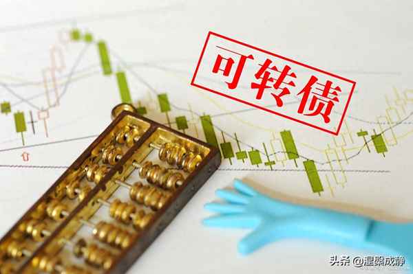 配債成功賬戶在哪里看-配債繳款后在哪查詢