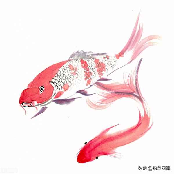 蚯蚓抹清凉油钓鱼原理—蚯蚓沾香油钓鱼