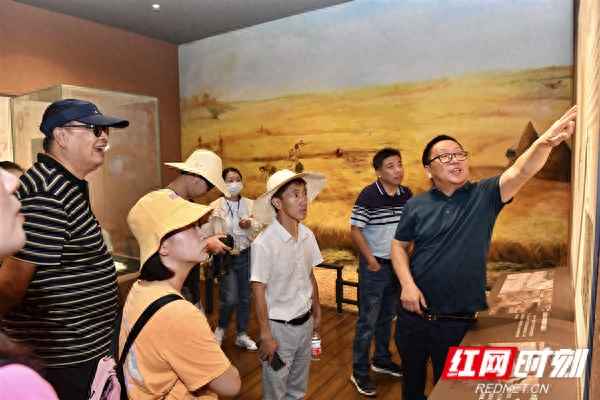 世界上最早的水稻遗址,世界上最早的水稻田