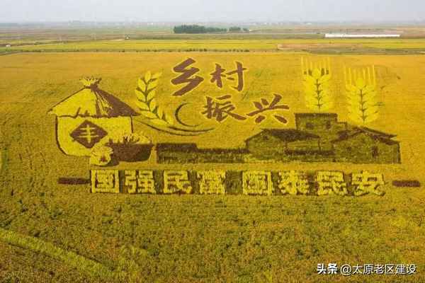 水稻的八個時期順口溜、水稻生長發育八個時期