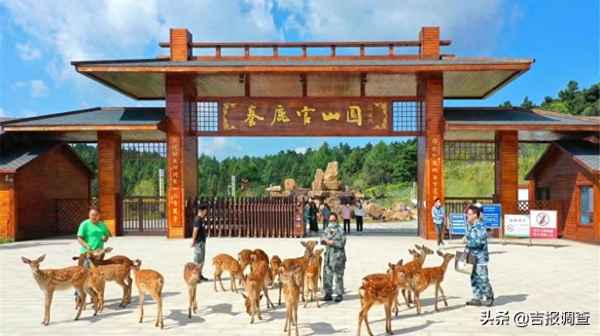 吉林龙翔度假山庄图片;吉林龙翔赛鸽俱乐部官网