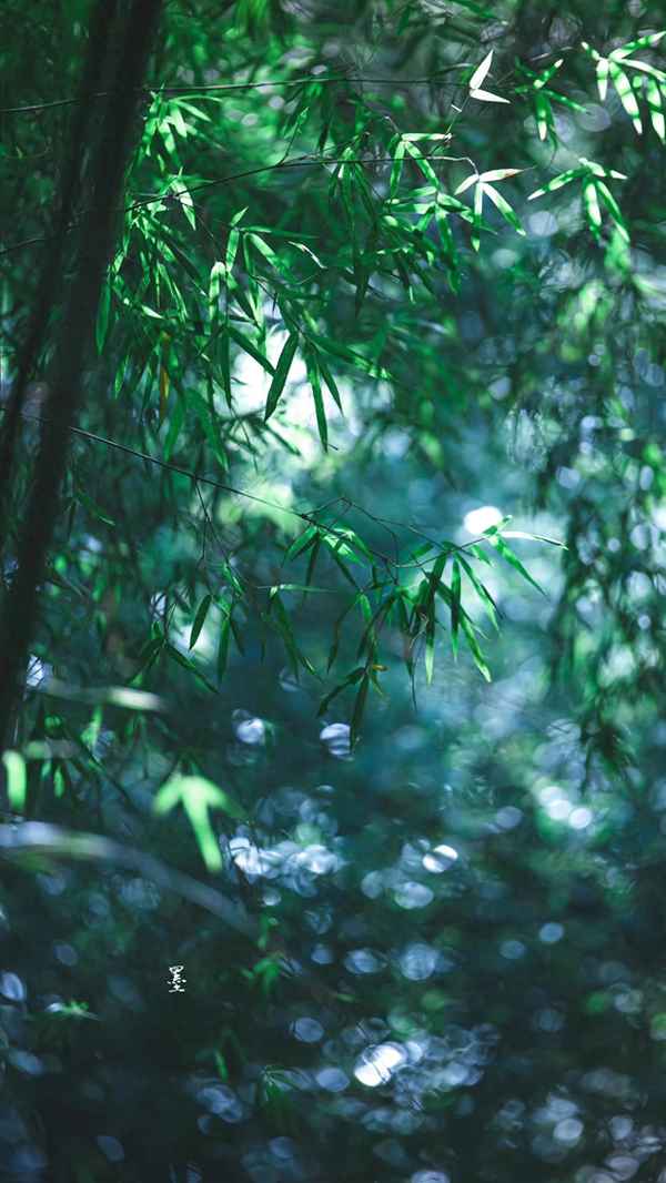 欲穷千里目的哲理是什么(欲穷千里目更一层楼的作文)