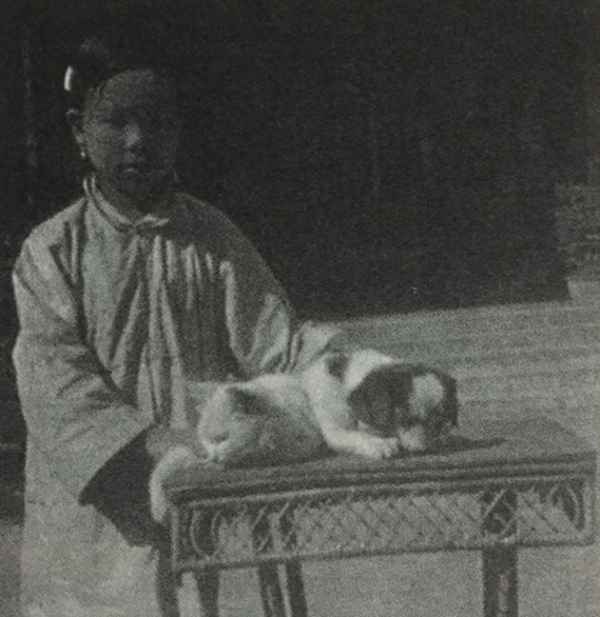 唐朝老宫女叫什么、唐朝太后身边的老宫女名字