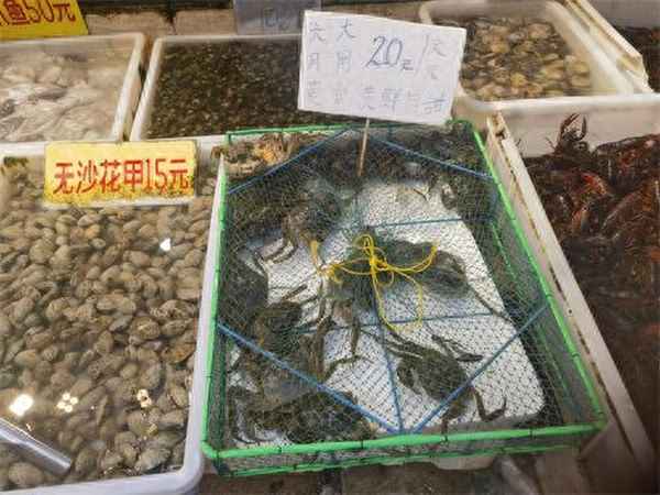 缅甸蟹价格多少钱一斤;现在缅甸蟹多少钱一斤