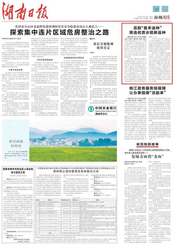 湖南优质中稻品种选择、湖南优质中稻品种选择标准